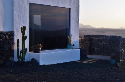 a building with a large window with cactuses in it at EL REFUGIO in Famara