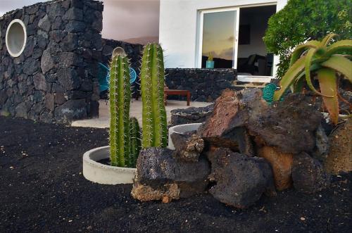 a group of cactuses and rocks in front of a house at EL REFUGIO in Famara
