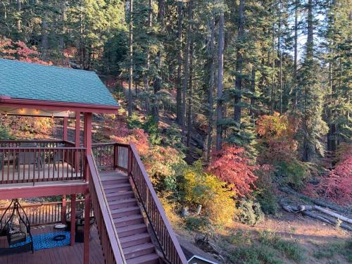 a wooden staircase leading to a cabin in the woods at YoBee! Park Reservation Included! Heart of Yosemite - Homey Studios and Breakfast in Yosemite West