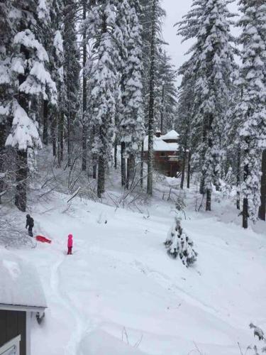 a group of people in the snow near trees at YoBee! Park Reservation Included! Heart of Yosemite - Homey Studios and Breakfast in Yosemite West