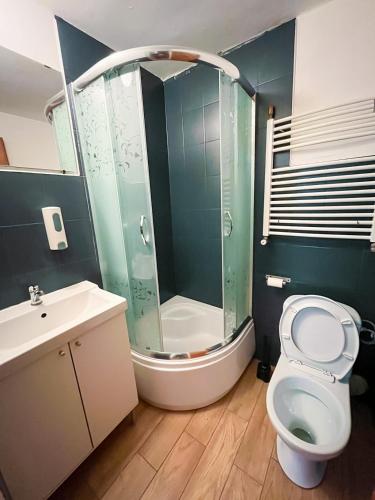 Un baño con ducha, inodoro y lavabo. en Noclegi WOKU, en Świebodzice