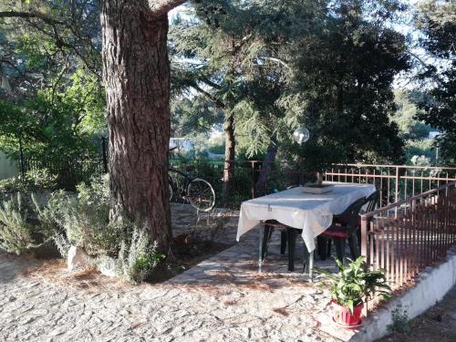 a table sitting under a tree next to a fence at Ciao b&b in Selva di Fasano
