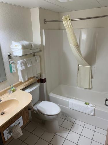 a bathroom with a toilet and a tub and a sink at Nichols Inn of Red Wing in Red Wing