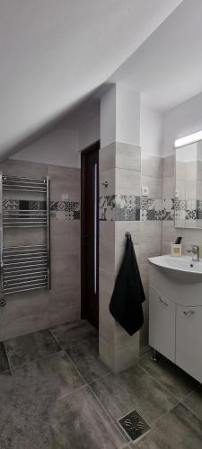 a bathroom with a sink and a toilet and a mirror at Karacsony Guest House in Lunca de Sus
