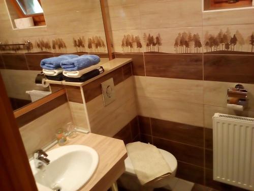 a small bathroom with a sink and a toilet at Zöld sziget Apartmanház in Gyenesdiás