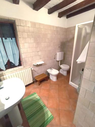 a bathroom with a toilet and a sink at Agriturismo Corte dei Landi in Reggio Emilia