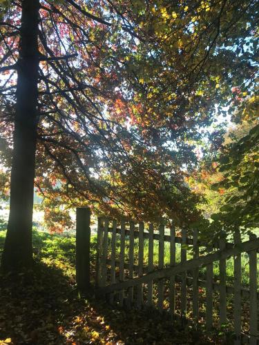a wooden fence next to a tree with autumn leaves at Chambre d'Hôtes La Ferme du Pré-Martin in La Génevraie