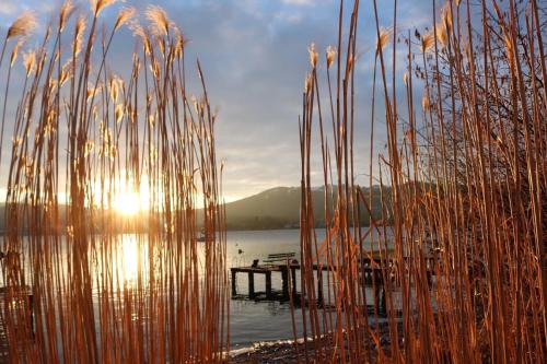 a body of water with a pier and some grass at Ferienhäuschen am Traunsee in Altmünster