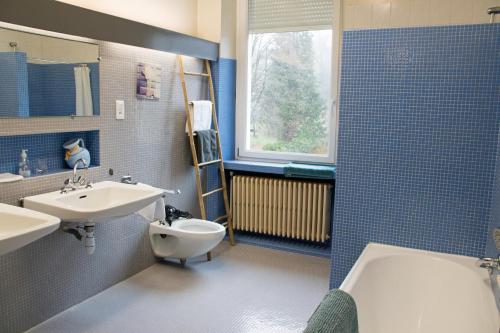 サン・モーリス・シュル・モセルにあるChez MARLYSE-chambres et Table d'hôtesの洗面台、トイレ、浴槽を備えたバスルーム