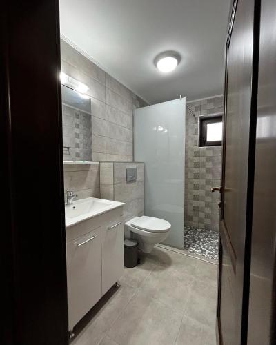 a bathroom with a toilet and a sink and a shower at Cabana Mullerhaus in Tău Bistra