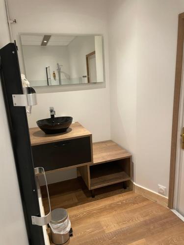 a bathroom with a sink and a mirror at Hôtel & Restaurant Le Patio VICHY in Vichy
