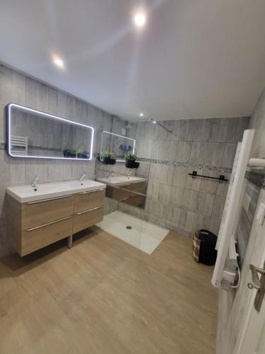 a bathroom with a shower and a sink and a mirror at Loft du sud ouest av garage in Laplume