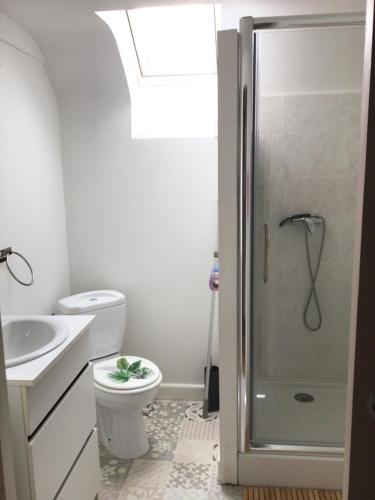 une salle de bain avec une douche, des toilettes et un lavabo dans l'établissement Le Clos Domenat 4, à Brive-la-Gaillarde