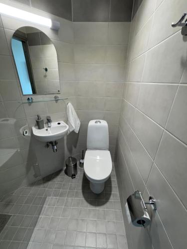 a bathroom with a toilet and a sink at Pepleri Studio 67 in Tartu