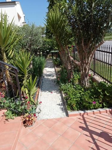 a garden with palm trees and a walkway at N247 - Numana, meraviglioso quadrilocale in posizione strategica in Numana