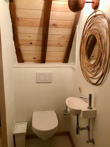 a bathroom with a toilet and a sink at Den Haegepreeck in Horebeke