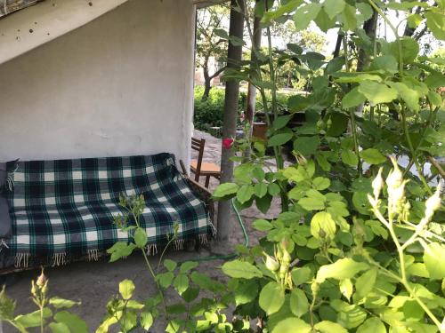 DzoragyughにあるDzoragyugh B&Bの茂みの隣のポーチに置かれたソファ