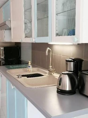 Il comprend une cuisine équipée d'un évier et d'un grille-pain. dans l'établissement RESSOURCEMENT EN BRETAGNE, à Plélan-le-Petit