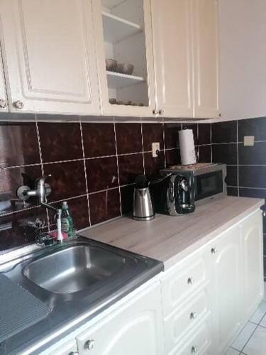 a kitchen with a sink and a counter top at Ubytovanie Sosna Muráň in Muráň