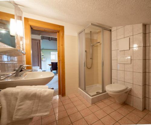 a bathroom with a sink toilet and a shower at Beim Franz in Lermoos