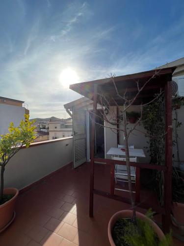 a balcony with a table and a tree on it at B&B Le Terrazze in Crotone
