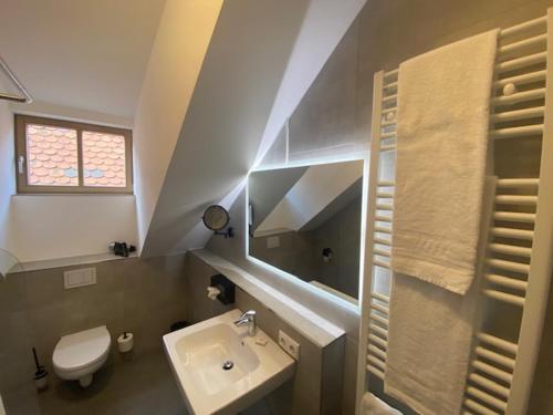 La salle de bains est pourvue d'un lavabo, de toilettes et d'un miroir. dans l'établissement Altstadthotel Alt & Jung, à Ratisbonne