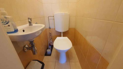 un piccolo bagno con un water e un lavandino di Apartment in Zamardi - Balaton 20318 a Zamárdi