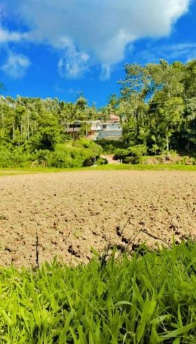 a field with grass and a house in the background at Shivalaya Homestay in Madikeri