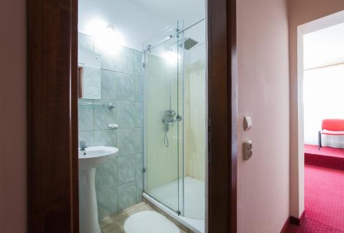 y baño con ducha y lavamanos. en Dumbrava Sibiului en Sibiu