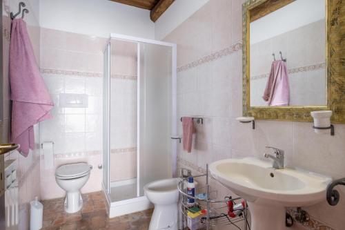 a bathroom with a sink and a toilet and a shower at Casale I Cascetti in Piancastagnaio
