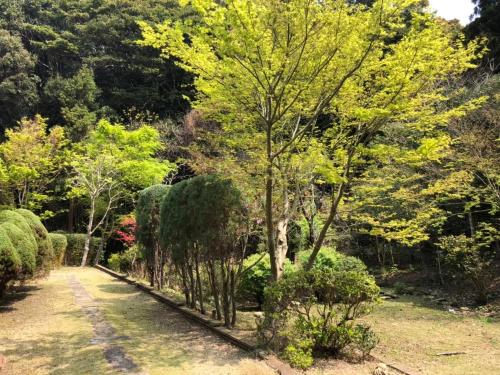 a path in a garden with trees and bushes at 佐世保VILLA青鹿Ur1 in Sasebo