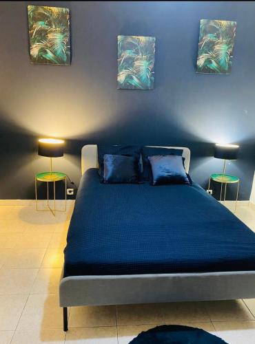 Ce lit se trouve dans un dortoir orné de 3 peintures murales. dans l'établissement Belle villa à 5 mn du centre avec grd jaccuzy, à Montpellier