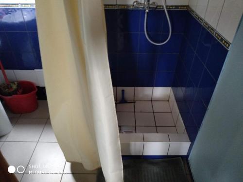 Łazienka z prysznicem wyłożona jest niebiesko-białymi kafelkami. w obiekcie Domek letniskowy-Powidz ul.Topolowa w Powidzu