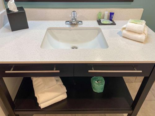 a bathroom counter with a sink and towels at Sleep Inn & Suites - Coliseum Area in Greensboro