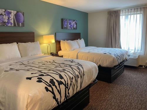 a hotel room with two beds and a window at Sleep Inn - Coliseum Area in Greensboro