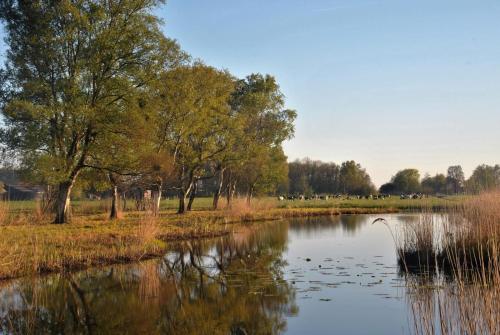 a pond with a bird in the water and trees at B&B De Meije in Nieuwkoop