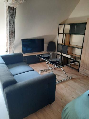 un salon avec un canapé bleu et une télévision dans l'établissement La Marmotte de la Cathédrale - Calme - Jardin, à Troyes