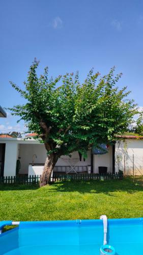 a tree in front of a house with a pool at House with pool and garden in Esmoriz near Porto in Esmoriz