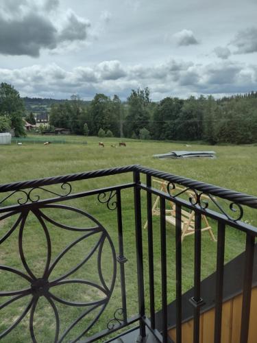 a balcony with a view of a field with horses at Góralski Domek Tomek in Ciche