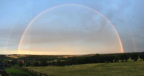 twobows in the sky over a green field at Widokówka Kaszuby in Mirachowo