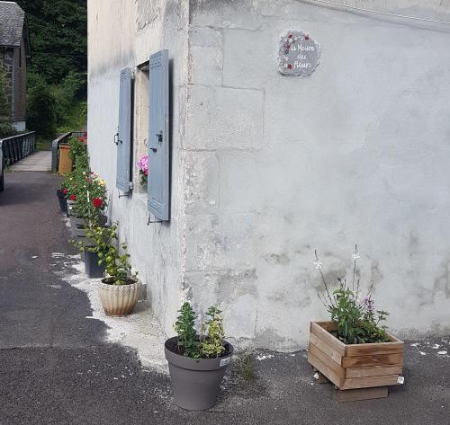 un grupo de plantas en macetas al lado de un edificio en la maison des fleurs studio, en Le Mont-Dore