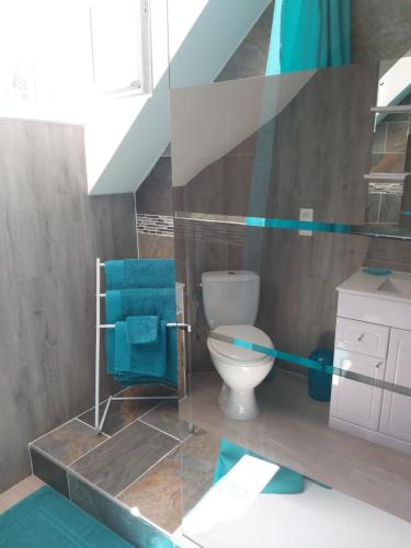 a bathroom with a toilet and blue towels at le bonheur des plumes in Montmartin-en-Graignes
