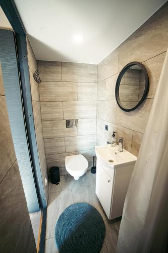 a small bathroom with a sink and a mirror at Apartamenti Vējdzirnavas in Vārve