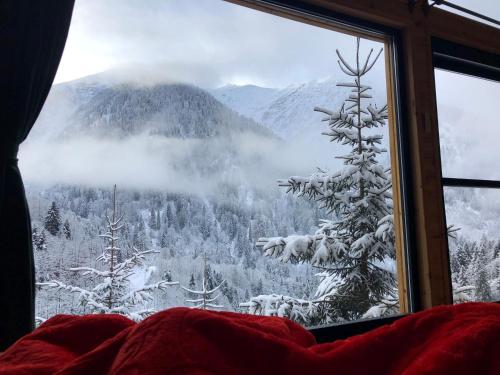 Landskap semula jadi dekat dengan chalet