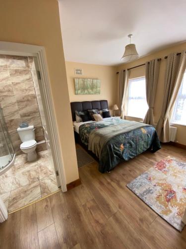 um quarto com uma cama e um WC. em Boland's Accommodation Dingle em Dingle