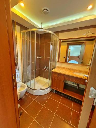 a bathroom with a shower and a toilet and a sink at My Home Uzungöl in Uzungöl