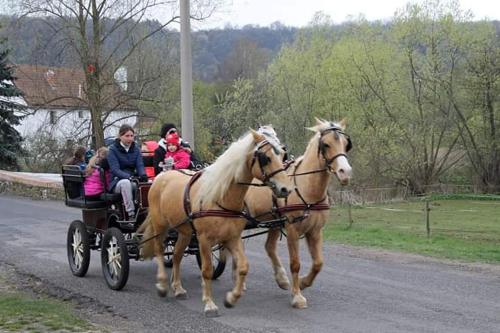 um grupo de pessoas montadas numa carruagem puxada por cavalos em Ubytování v karavanu em Bžany