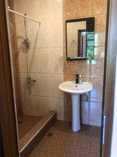 a bathroom with a sink and a shower with a mirror at L&A Guest House in Goris