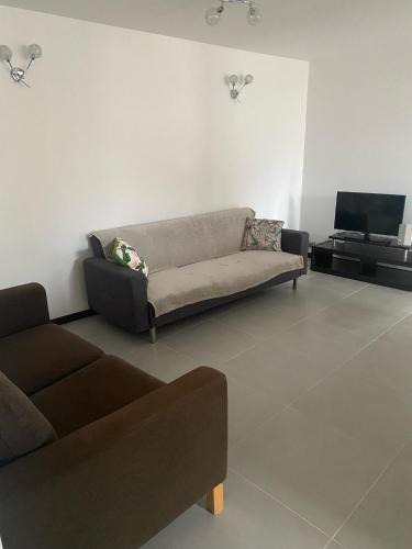 un salon avec un canapé et une télévision dans l'établissement Appart Fourchambault 6/8 personnes rez de chaussée, à Fourchambault