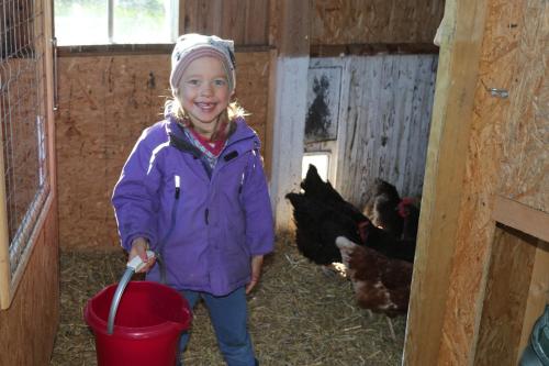 a young girl holding a bucket in a barn with chickens at Schäferwagen Tiny House auf dem Friesenhof in Pellworm